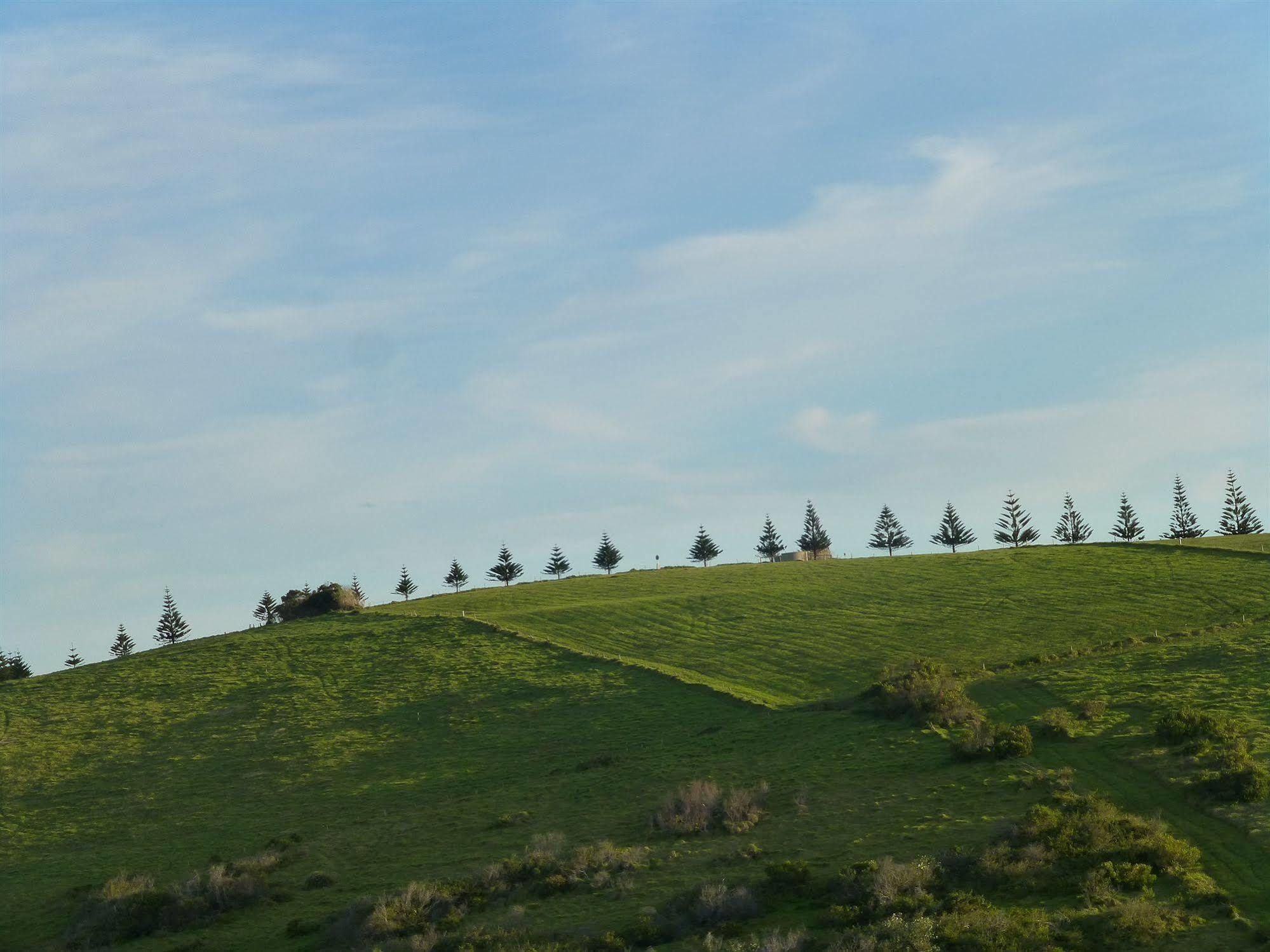 Park Ridge Retreat Motel Gerringong Bagian luar foto